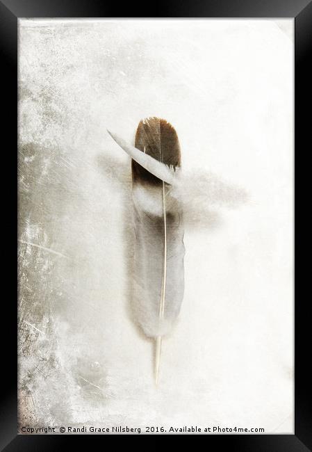 Flying Feathers Framed Print by Randi Grace Nilsberg