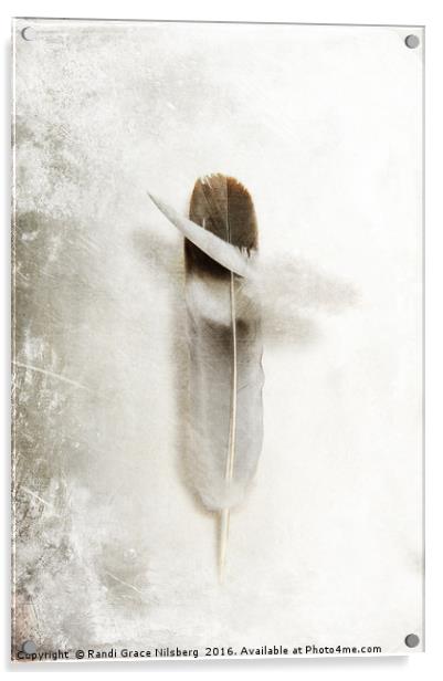 Flying Feathers Acrylic by Randi Grace Nilsberg