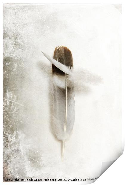 Flying Feathers Print by Randi Grace Nilsberg
