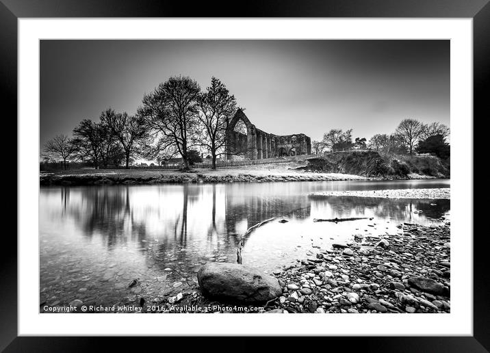 Bolton Abbey, Yorkshire Framed Mounted Print by Richard Whitley