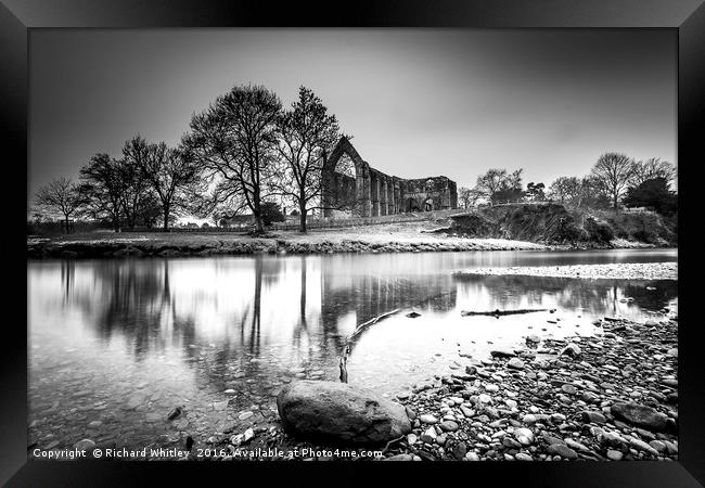 Bolton Abbey, Yorkshire Framed Print by Richard Whitley