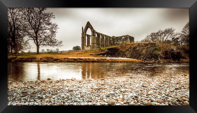 Bolton Abbey, Yorkshire Framed Print by Richard Whitley