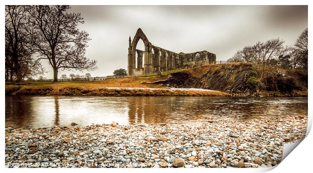 Bolton Abbey, Yorkshire Print by Richard Whitley