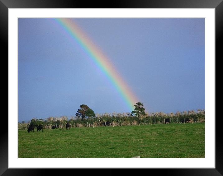 Rainbow Framed Mounted Print by Craig Law