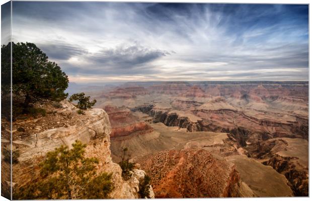 Grand Canyon Canvas Print by Andy Barker