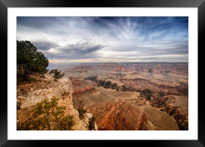 Grand Canyon Framed Mounted Print by Andy Barker