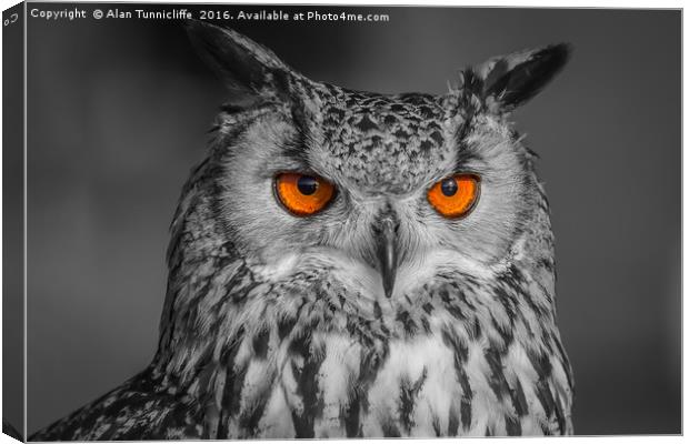 Bright Eyes Canvas Print by Alan Tunnicliffe