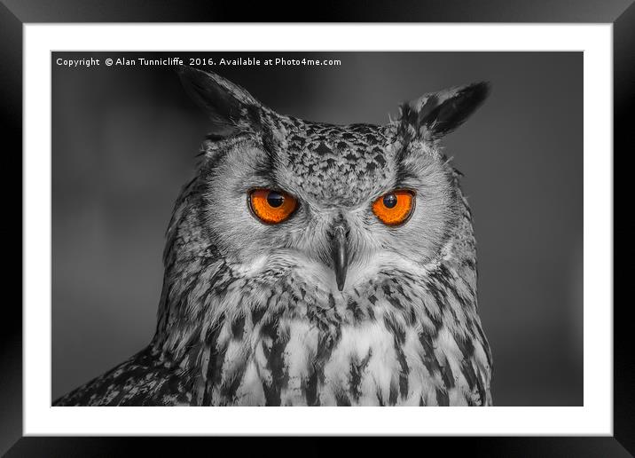 Bright Eyes Framed Mounted Print by Alan Tunnicliffe