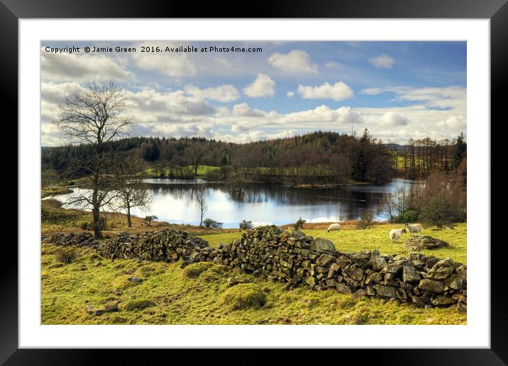 Moss Eccles Tarn Framed Mounted Print by Jamie Green
