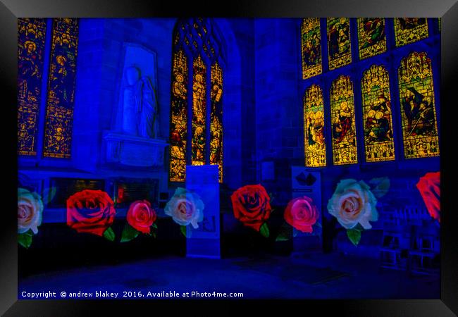 Roses in the Cathedral Framed Print by andrew blakey