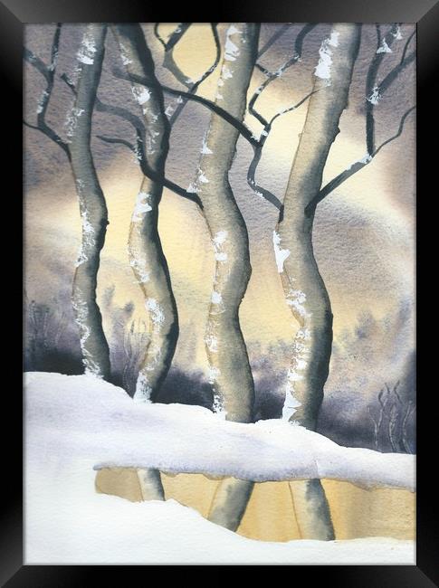 Frozen Forest Framed Print by Malcolm Snook