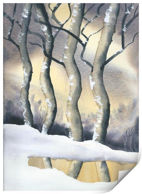 Frozen Forest Print by Malcolm Snook