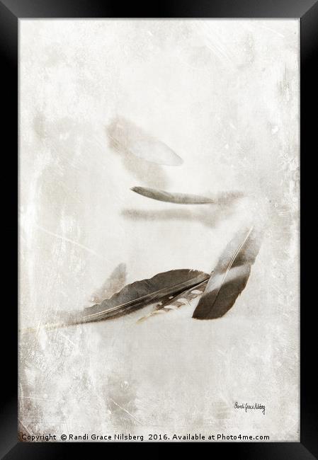 Fluttering Feathers Framed Print by Randi Grace Nilsberg