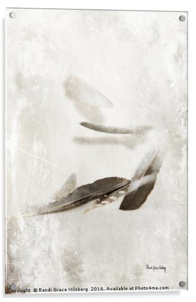 Fluttering Feathers Acrylic by Randi Grace Nilsberg