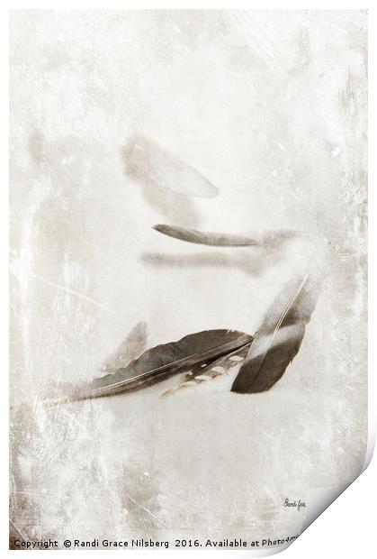 Fluttering Feathers Print by Randi Grace Nilsberg