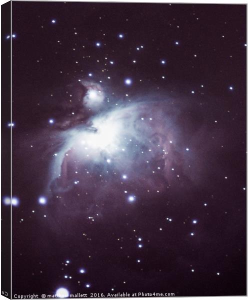 Orion Nebula February 2016 Canvas Print by matthew  mallett