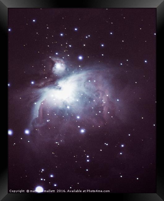 Orion Nebula February 2016 Framed Print by matthew  mallett
