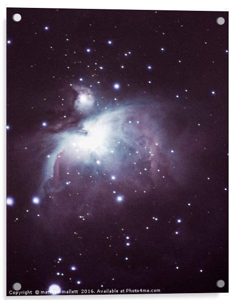Orion Nebula February 2016 Acrylic by matthew  mallett