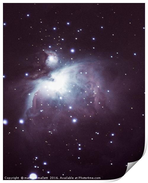 Orion Nebula February 2016 Print by matthew  mallett