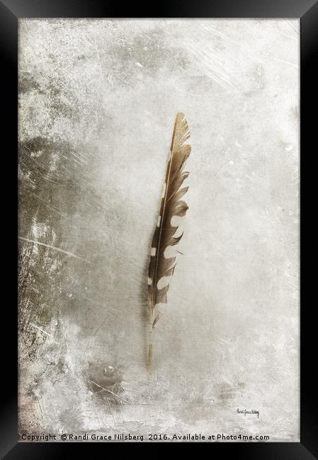 Standing Feather Framed Print by Randi Grace Nilsberg