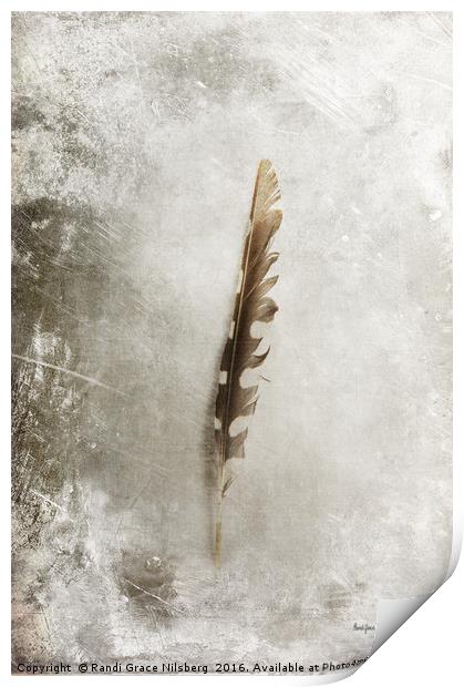 Standing Feather Print by Randi Grace Nilsberg