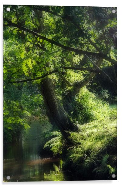 Sun Dappled Stream - New Forest Acrylic by Ann Garrett