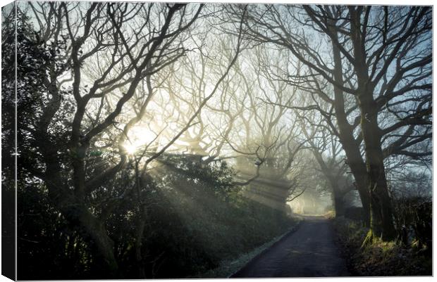 Woodseats lane on a February morning Canvas Print by Andrew Kearton