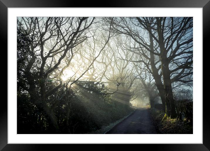 Woodseats lane on a February morning Framed Mounted Print by Andrew Kearton