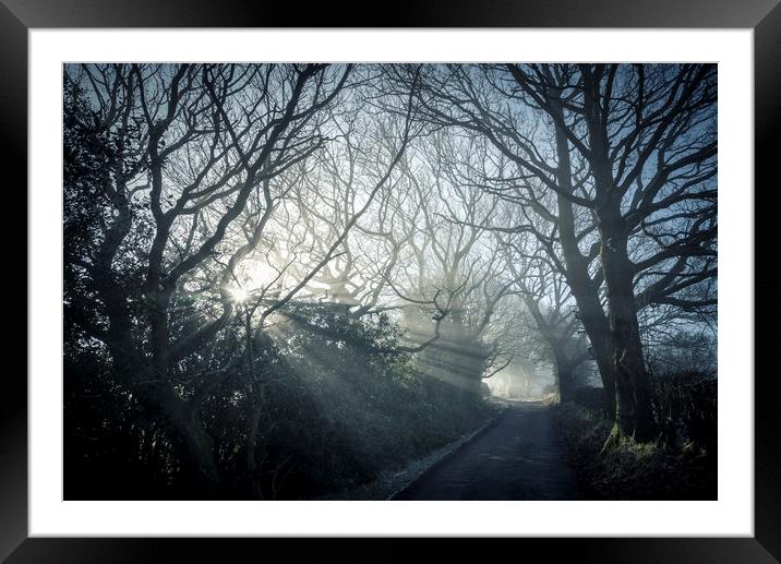 Morning mist on a country lane Framed Mounted Print by Andrew Kearton