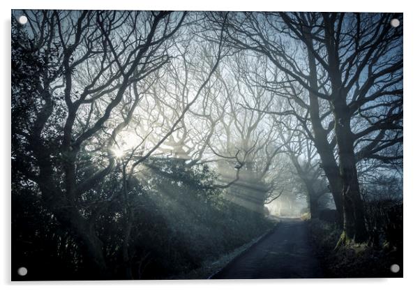 Morning mist on a country lane Acrylic by Andrew Kearton