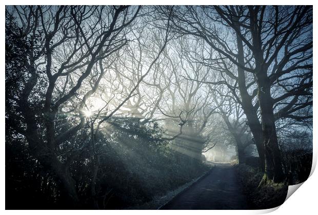 Morning mist on a country lane Print by Andrew Kearton