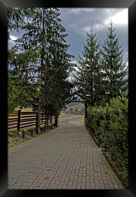 Passage between trees Framed Print by Adrian Bud