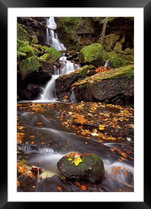 Lumsdale Falls in Autumn Framed Mounted Print by Darren Galpin