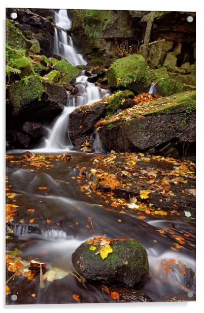 Lumsdale Falls in Autumn Acrylic by Darren Galpin