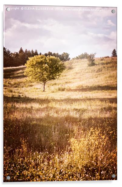 Rural landscape with single tree Acrylic by ELENA ELISSEEVA