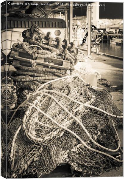 Netting Canvas Print by George Davidson