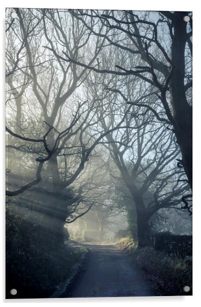 English Oaks on a misty lane Acrylic by Andrew Kearton