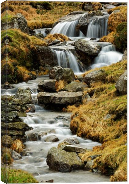 FREE WATER Canvas Print by andrew saxton