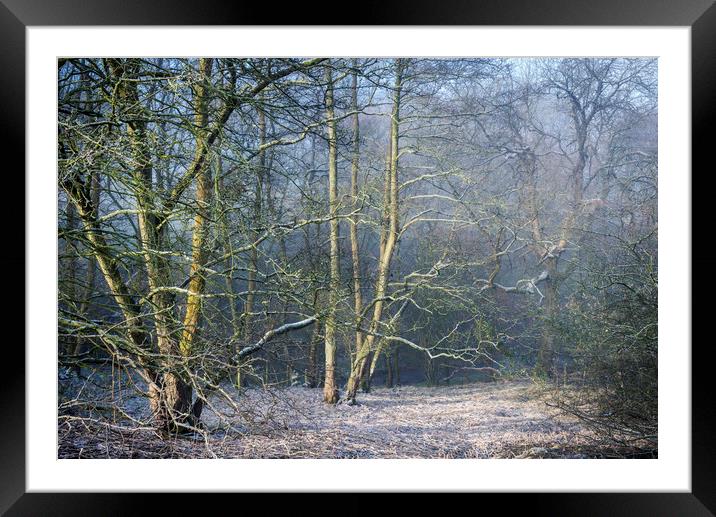 February frost Framed Mounted Print by Andrew Kearton