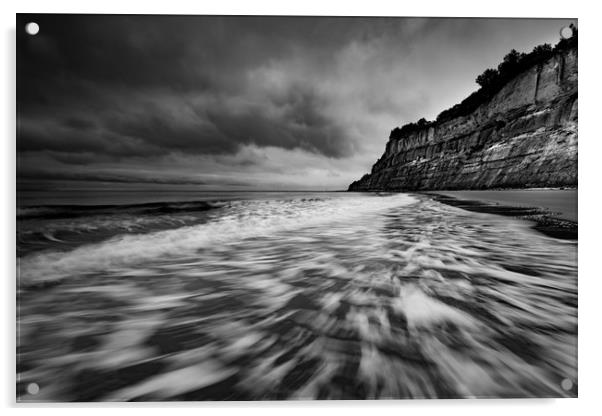 Shanklin cliffs Acrylic by Michael Brookes