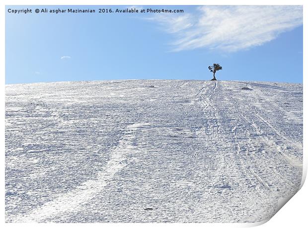 A lone tree and snow  Print by Ali asghar Mazinanian