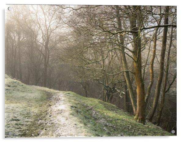 Frosty walk beside the woods Acrylic by Andrew Kearton