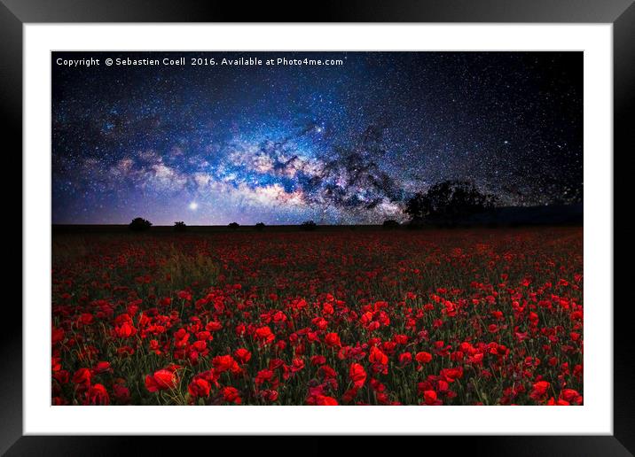 Poppies at night Framed Mounted Print by Sebastien Coell