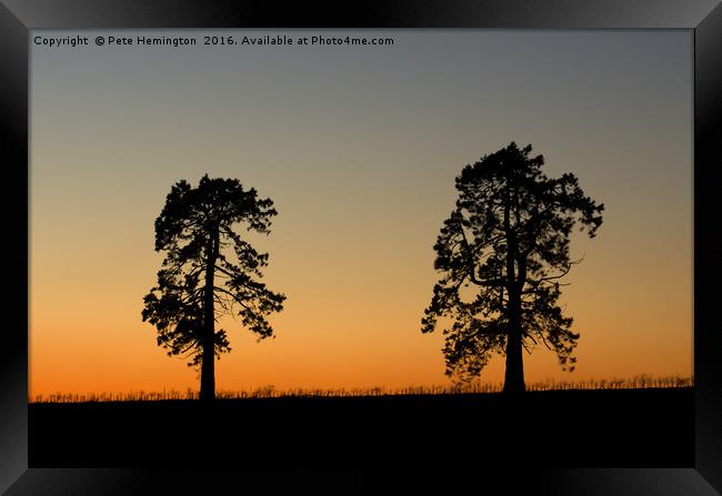 Two trees at sunset Framed Print by Pete Hemington