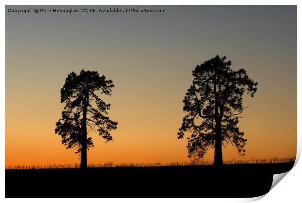 Two trees at sunset Print by Pete Hemington