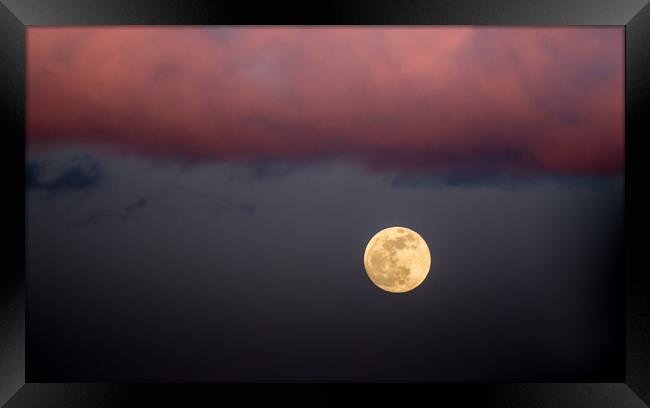 Moonrise at Sunset Framed Print by Jon Rendle