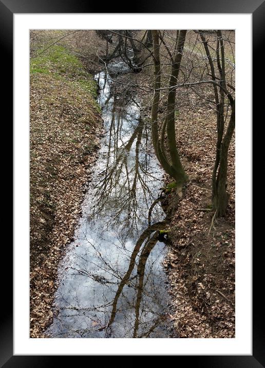 reflected on stream Framed Mounted Print by Marinela Feier