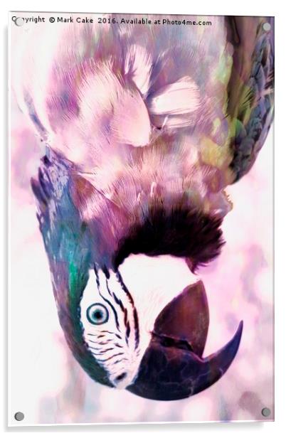 Pastel macaw Acrylic by Mark Cake