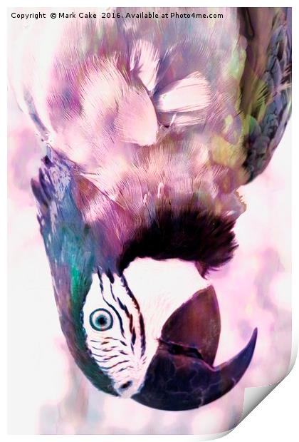 Pastel macaw Print by Mark Cake