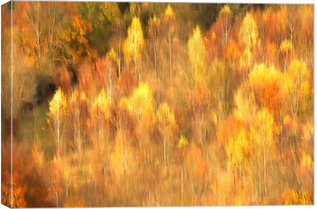 Autumn Box Hill Surrey Canvas Print by Clive Eariss